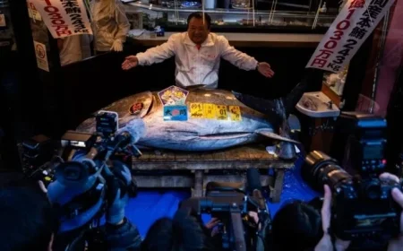 Bluefin Tuna Sells for Record $3.2 Million at Toyosu Market Auction