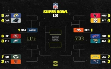 2025-26 NFL Playoff Bracket and Standings Update After Week 18