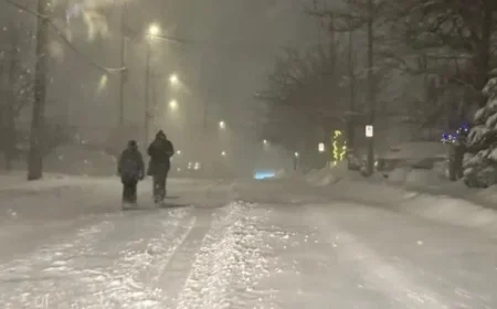 First 2026 Storm Shuts Schools, Halts Metrobus Services