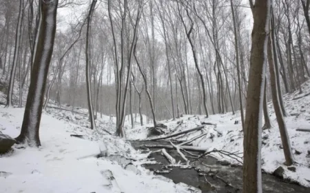 Snowy Monday Morning Commute Alert Issued by Environment Canada for Hamilton