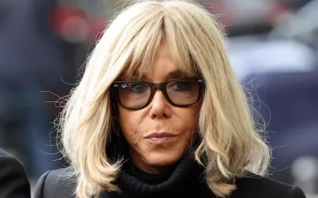 Ten Convicted for Cyberbullying Brigitte Macron