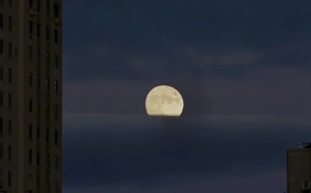 UWS Litter Reveals Neighborhood Traits; Congestion Pricing Impact; Coyote in Central Park; Extell Resale