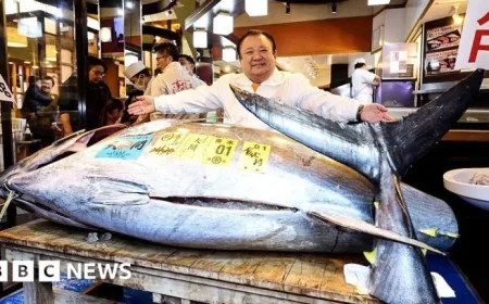 Bluefin Tuna Sets Record at Tokyo Auction, Fetching $3.2 Million