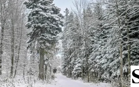 This Week Brings Freezing Cold, Snow Expected by Weekend