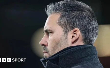 Leicester City vs West Brom: Championship Stats and Head-to-Head Analysis