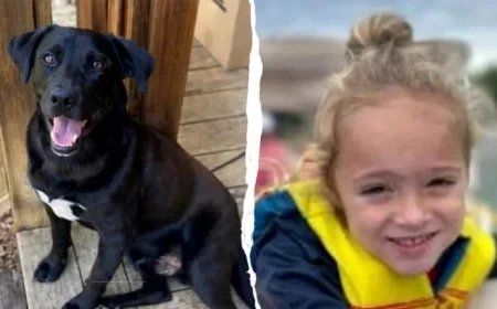 Tragic Find: Missing 4-Year-Old Florida Boy Discovered Dead in Alabama Woods