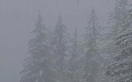 Winter Weather Alert: Ensure Javascript is Enabled for Website Access