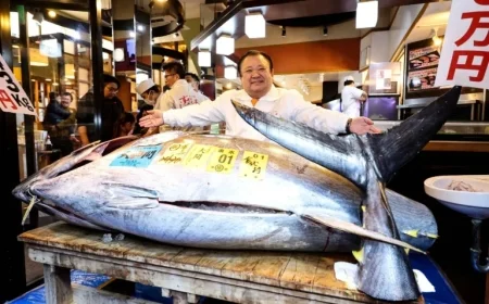 “Tuna King Sets Record with ¥510.3 Million Bluefin Auction Bid”