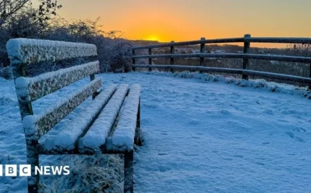 Black Country Snowfall Forces School Closures and Blocks Grit Bins