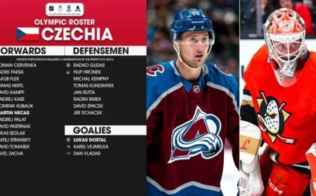 Czechia Announces Pastrnak, Hertl for 2026 Winter Olympics Roster