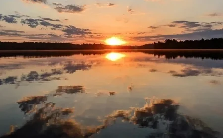 Pattern Energy to Acquire Cordelio Power in New Agreement