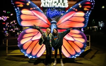 Top Activities in LA and SoCal: Jan. 5-8