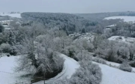 Stars vs. Hurricanes: Ultimate Game Day Guide