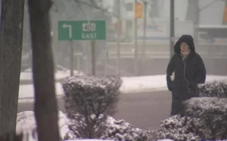 Toronto Faces Heavy Snow After Freezing Rain Alert