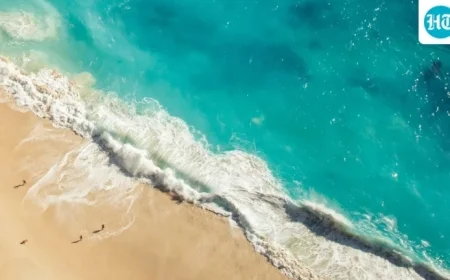 2026 Budget Getaway: Beach Vacations, Sunrise Parties, and Yoga Retreats