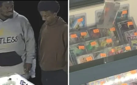 LA Witnesses Spate of Armed Robberies Over $300K Pokémon Cards