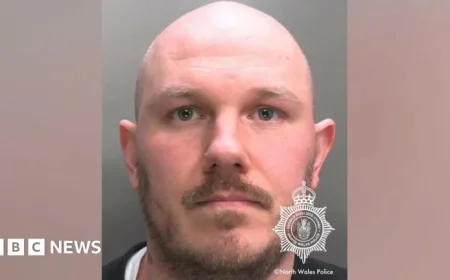 Wrexham Man Imprisoned for Online Sale of Suicide Chemicals