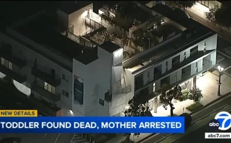 Toddler Dies from Frying Pan Injuries in Santa Monica; Mother Arrested