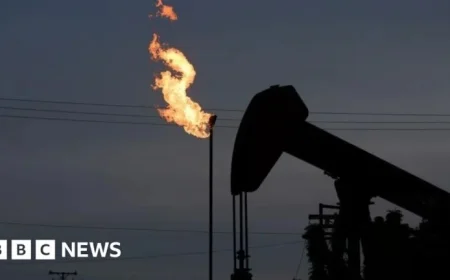 US to Dominate Venezuela Oil Sales Indefinitely, Official Confirms