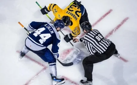 ECHL Strike Highlights Players’ Concerns Beyond Financial Issues