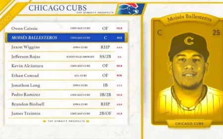 Top Fantasy Baseball Prospects for 2026 Chicago Cubs
