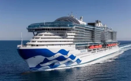 Ex-TNA Wrestler Debuts at AEW