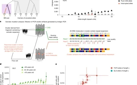 DNA Repeat Expansions Studied in 900,000 Biobank Participants