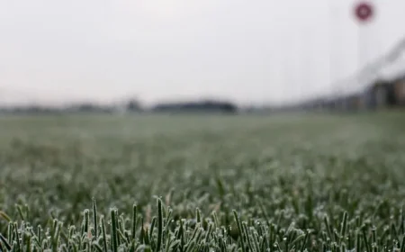 Latest Weather and Inspection Updates for Racing Events