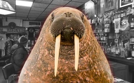 Walrus Penis Stolen from N.J. Cheesesteak Landmark, Owner Outraged