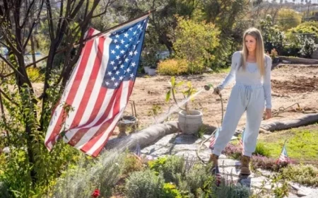 Palisades and Altadena: Community Resilience Prevails One Year After Wildfires