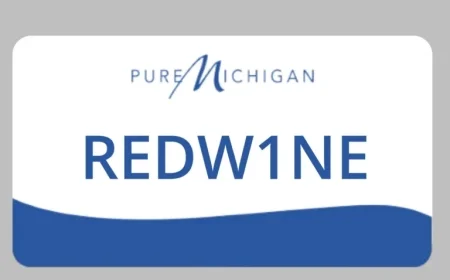 Michigan Bans Over 30,000 License Plates in Crackdown