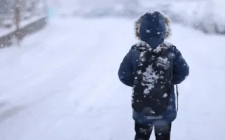 Florida vs Montreal: Essential Game Insights