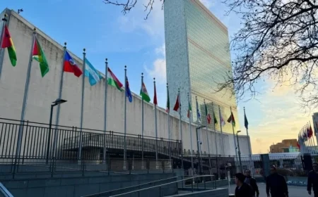 NPR’s Goats and Soda: News Insights and Stories