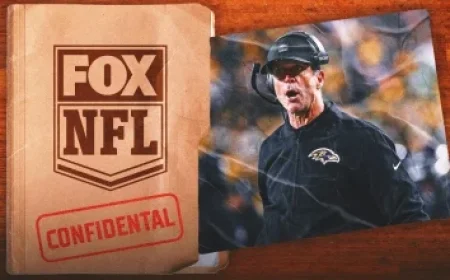 Dolphins Coach/GM Search: Key Insights and Essential Rules