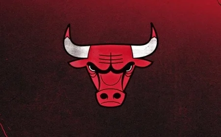 NBA Postpones Bulls vs. Heat Game