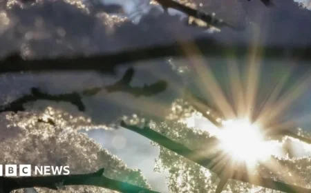 Bradford Schools Close, Waste Collection Delayed Due to Ice