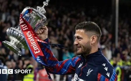 Swansea City Near Deal with Ex-Crystal Palace Captain Joel Ward