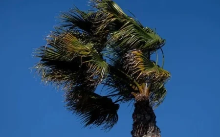 Santa Ana Winds to Intensify in Southern California This Thursday