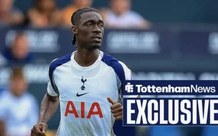 Tottenham Gains Boost in Bissouma Transfer from Distant Developments
