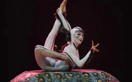 Cirque du Soleil Prepares for ‘Ovo’ Show on Insect Life Cycle