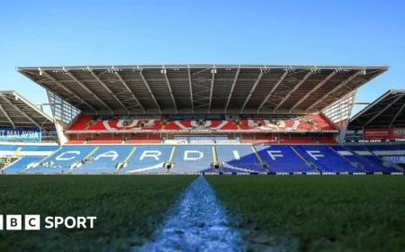 Cardiff City Confirms Transfer Embargo to Be Lifted After Late Accounts Issue