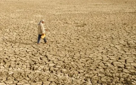 US Exit from UN Bodies: Impacts on Climate, Trade, and Development