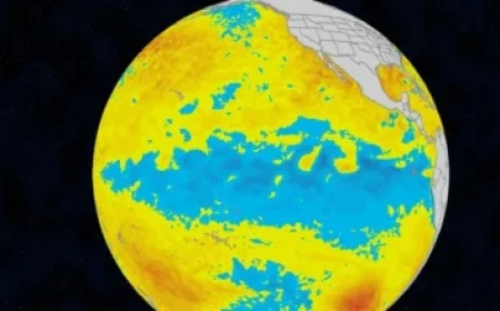 The Athletic’s NFL Playoff Predictions: Who Will Win Super Bowl?