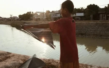 Exploring the Tranquil Beauty of Laundry: A Goats and Soda Feature