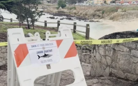 Coroner Confirms Shark Attack Fatality of Swimmer Erica Fox Near Lovers Point