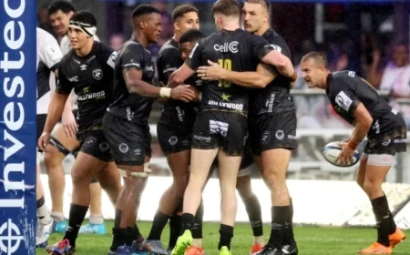 Unveiling the Hollywoodbets Sharks Team