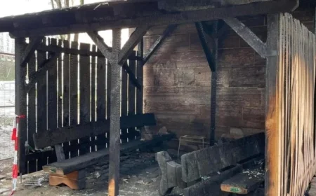 City Considers Rebuilding After Fire Destroys Königstorpassage Homeless Shelter