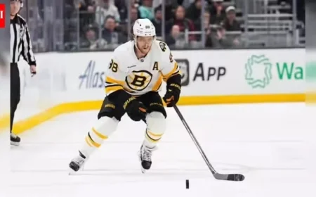 David Pastrnak’s Net Worth Explored: Bruins Contracts, Earnings, and Endorsements