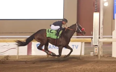 Express Kid Commands $800,000 at F-T Flash Sale