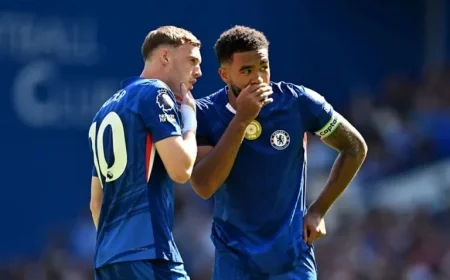 Rosenior Shares Updates on Gusto, James, and Palmer’s Progress